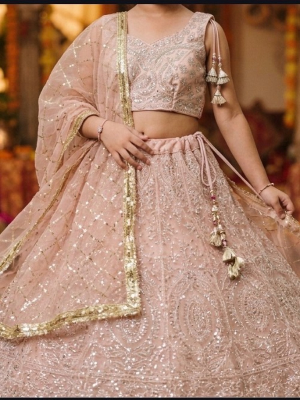 Embellished Pink lehnga choli